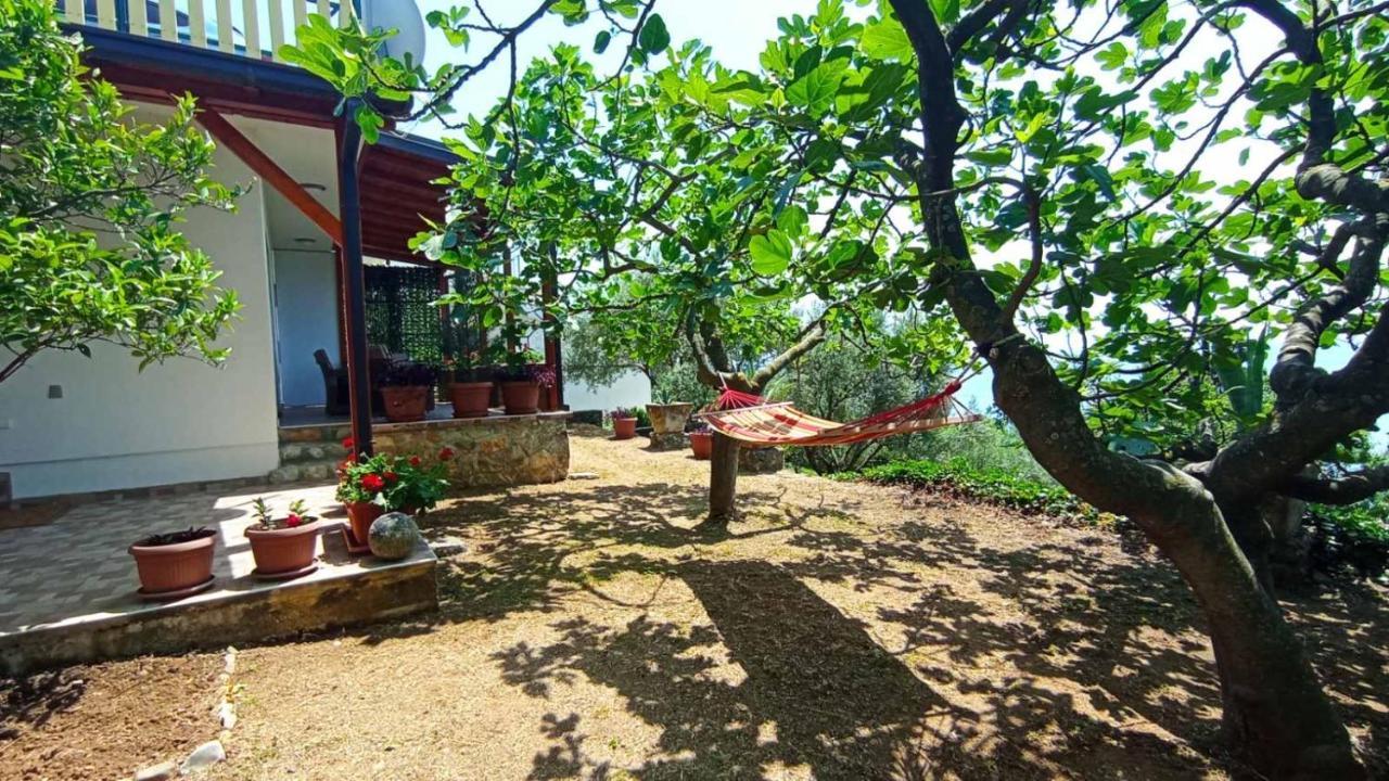 Apartment Ulcinj Kültér fotó
