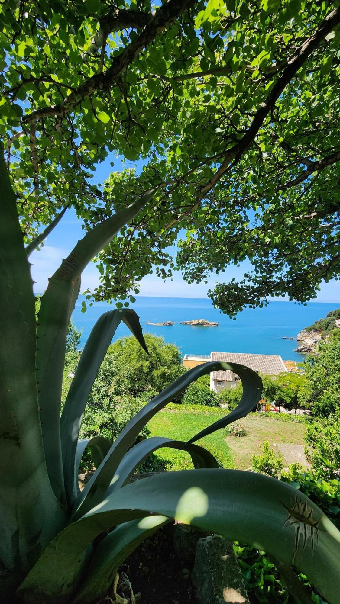 Apartment Ulcinj Kültér fotó